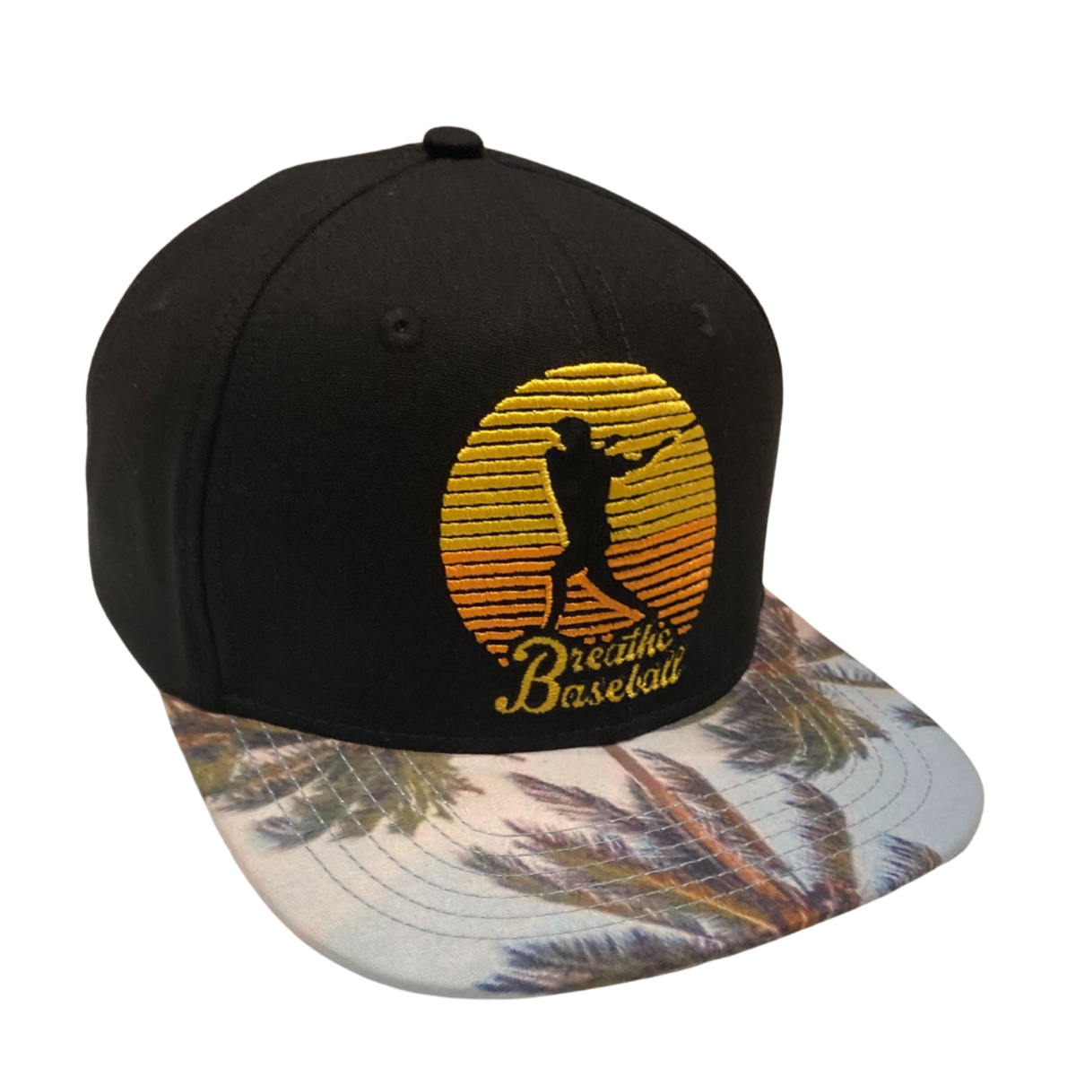 Sunset Swing Snapback