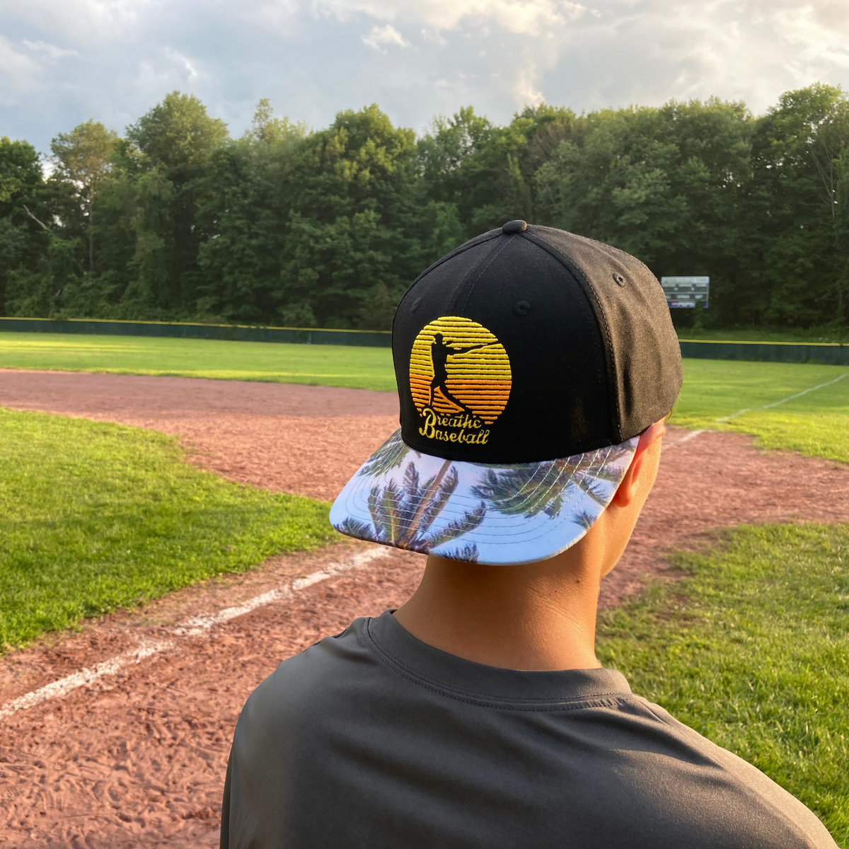 Sunset Swing Snapback